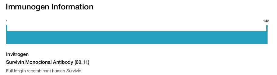 Survivin Monoclonal Antibody (60.11)