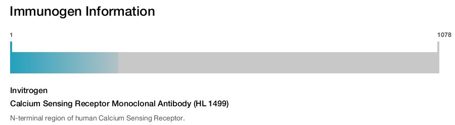 Calcium Sensing Receptor Monoclonal Antibody (HL 1499)