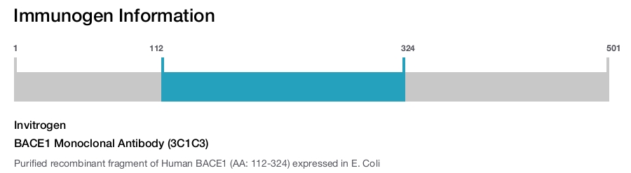 BACE1 Monoclonal Antibody (3C1C3)
