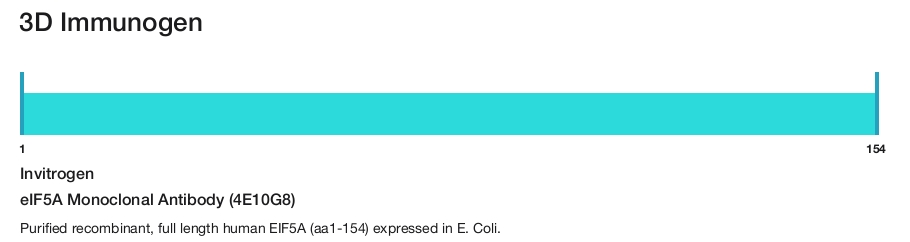 eIF5A Monoclonal Antibody (4E10G8)