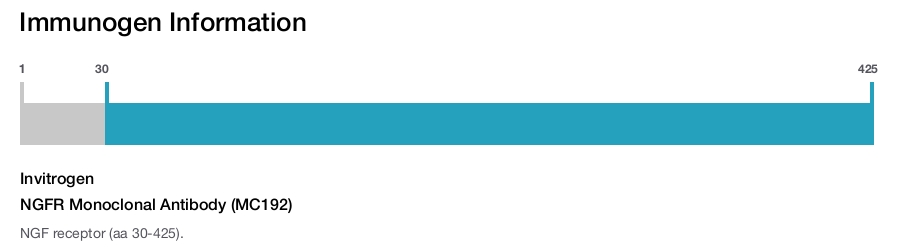 NGFR Monoclonal Antibody (MC192)