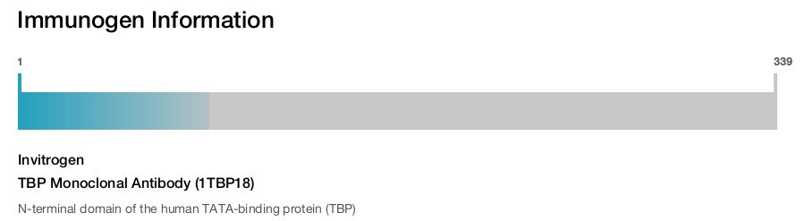 TBP Monoclonal Antibody (1TBP18)