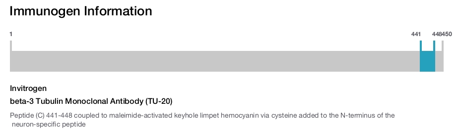 beta-3 Tubulin Monoclonal Antibody (TU-20)