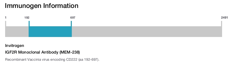 IGF2R Monoclonal Antibody (MEM-238)