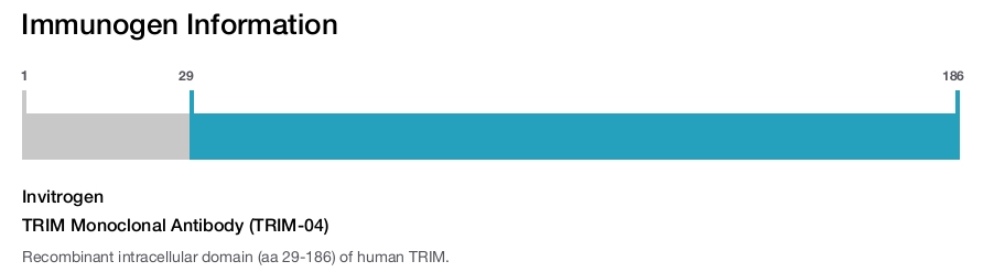 TRIM Monoclonal Antibody (TRIM-04)
