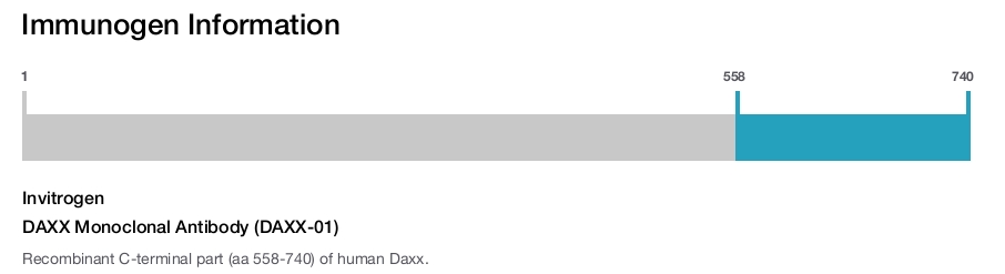 DAXX Monoclonal Antibody (DAXX-01)