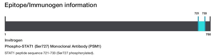 Phospho-STAT1 (Ser727) Monoclonal Antibody (PSM1)