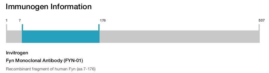 Fyn Monoclonal Antibody (FYN-01)