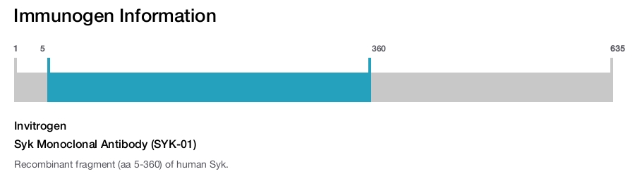 Syk Monoclonal Antibody (SYK-01)