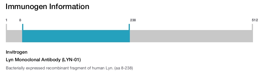 Lyn Monoclonal Antibody (LYN-01)
