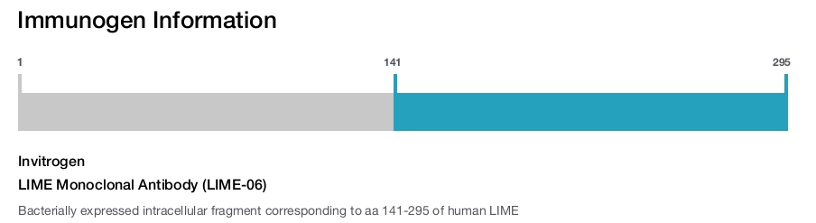 LIME Monoclonal Antibody (LIME-06)