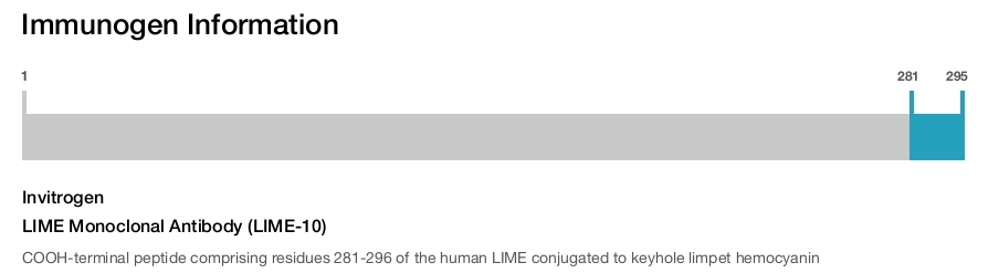 LIME Monoclonal Antibody (LIME-10)
