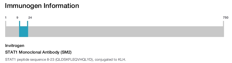 STAT1 Monoclonal Antibody (SM2)