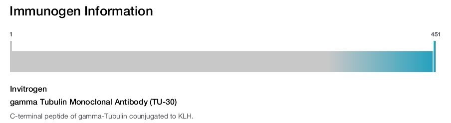 gamma Tubulin Monoclonal Antibody (TU-30)