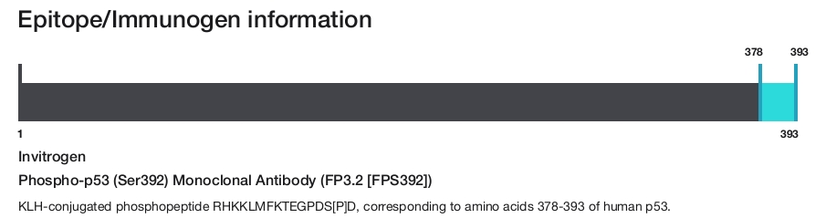 Phospho-p53 (Ser392) Monoclonal Antibody (FP3.2 [FPS392])