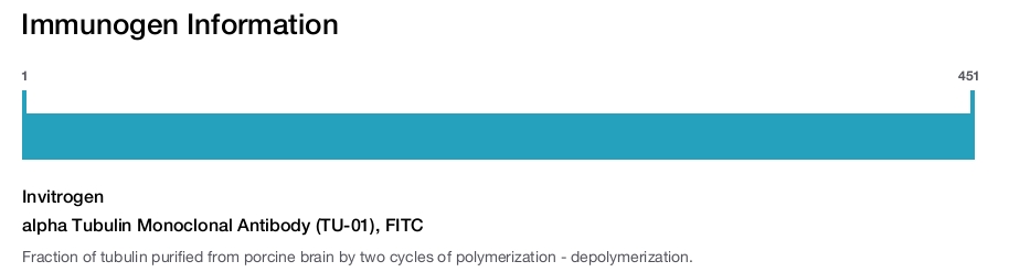 alpha Tubulin Monoclonal Antibody (TU-01), FITC