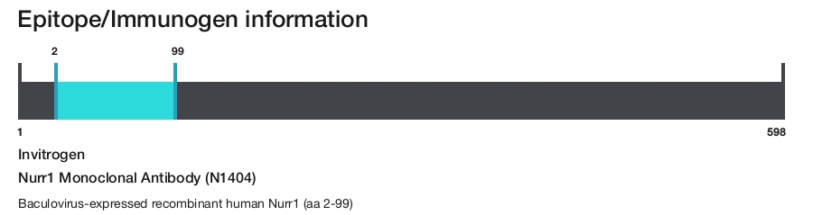 Nurr1 Monoclonal Antibody (N1404)