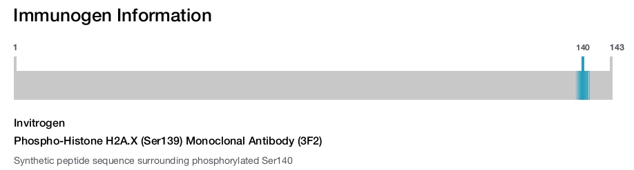 Phospho-Histone H2A.X (Ser139) Monoclonal Antibody (3F2)