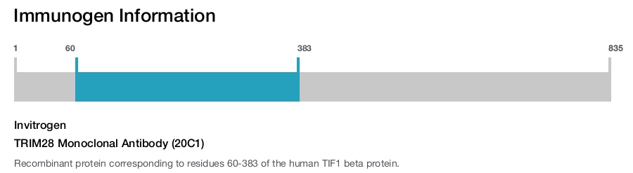 TRIM28 Monoclonal Antibody (20C1)