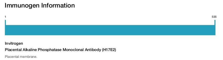 Placental Alkaline Phosphatase Monoclonal Antibody (H17E2)