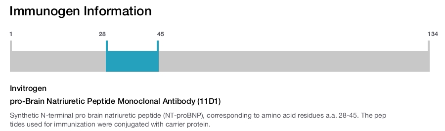 pro-Brain Natriuretic Peptide Monoclonal Antibody (11D1)