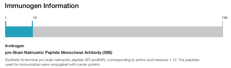 pro-Brain Natriuretic Peptide Monoclonal Antibody (5B6)