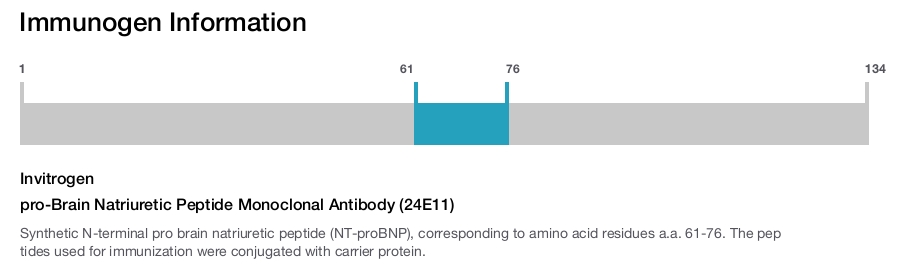 pro-Brain Natriuretic Peptide Monoclonal Antibody (24E11)