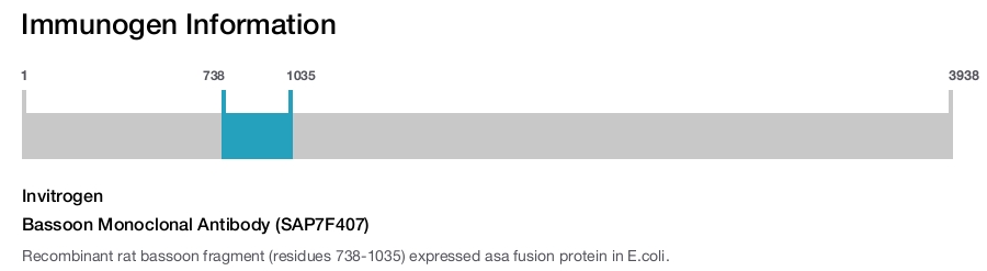 Bassoon Monoclonal Antibody (SAP7F407)