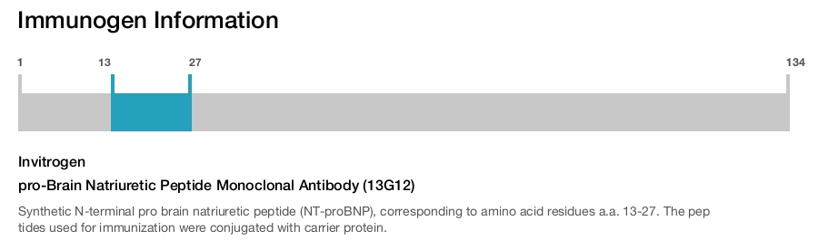 pro-Brain Natriuretic Peptide Monoclonal Antibody (13G12)