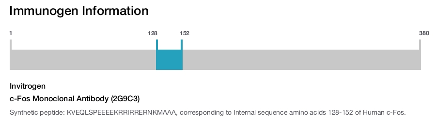c-Fos Monoclonal Antibody (2G9C3)