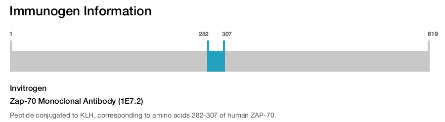 Zap-70 Monoclonal Antibody (1E7.2)