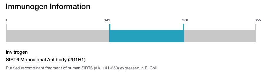 SIRT6 Monoclonal Antibody (2G1H1)