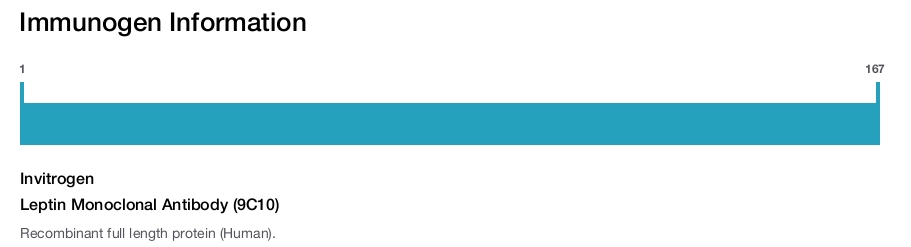 Leptin Monoclonal Antibody (9C10)