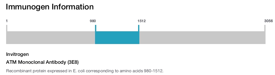 ATM Monoclonal Antibody (3E8)