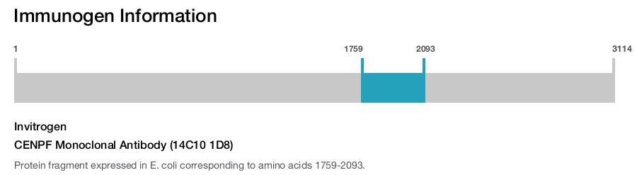 CENPF Monoclonal Antibody (14C10 1D8)