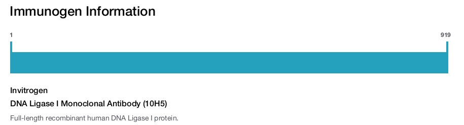 DNA Ligase I Monoclonal Antibody (10H5)