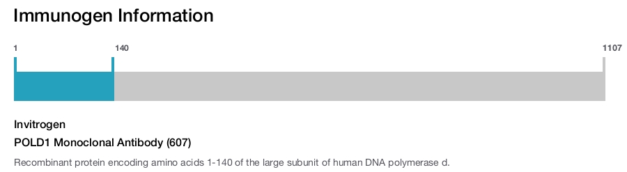 POLD1 Monoclonal Antibody (607)