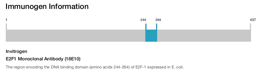 E2F1 Monoclonal Antibody (18E10)