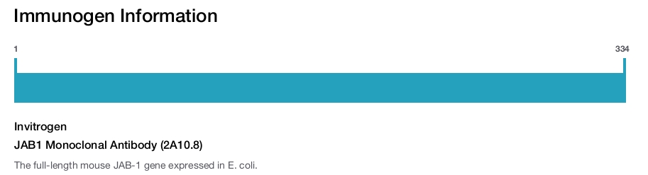 JAB1 Monoclonal Antibody (2A10.8)