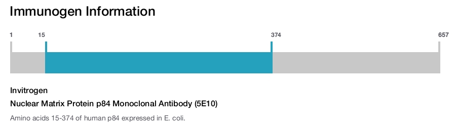Nuclear Matrix Protein p84 Monoclonal Antibody (5E10)