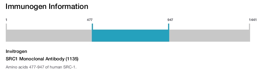 SRC1 Monoclonal Antibody (1135)