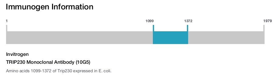 TRIP230 Monoclonal Antibody (10G5)