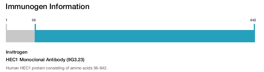 HEC1 Monoclonal Antibody (9G3.23)
