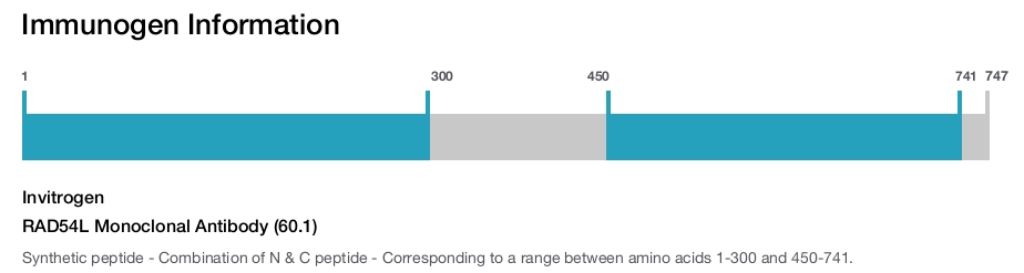 RAD54L Monoclonal Antibody (60.1)