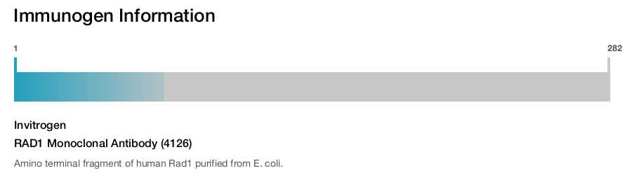 RAD1 Monoclonal Antibody (4126)