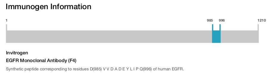 EGFR Monoclonal Antibody (F4)