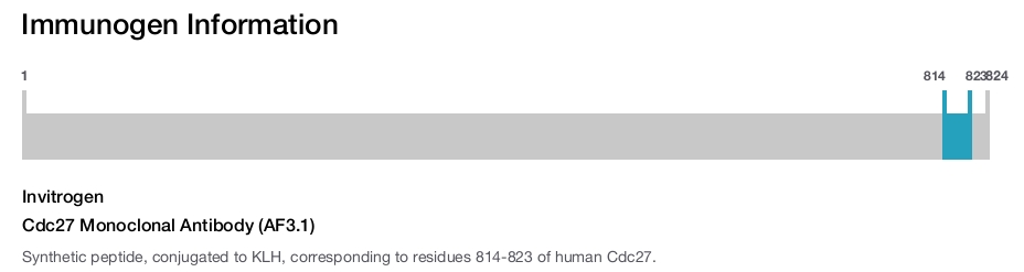 Cdc27 Monoclonal Antibody (AF3.1)