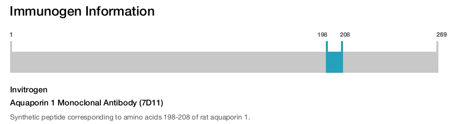 Aquaporin 1 Monoclonal Antibody (7D11)