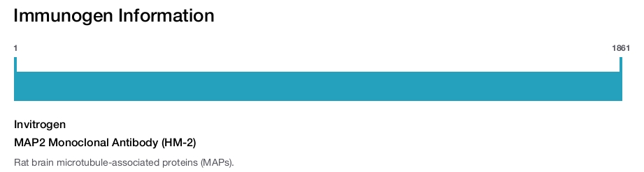 MAP2 Monoclonal Antibody (HM-2)