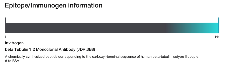 beta Tubulin 1,2 Monoclonal Antibody (JDR.3B8)